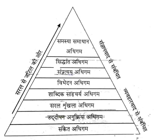 Robert Gagne's Learning Hierarchy In Hindi